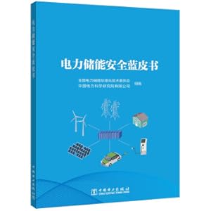 Imagen del vendedor de Blue Book of Electric Energy Storage Safety(Chinese Edition) a la venta por liu xing