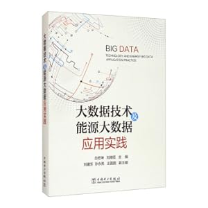 Imagen del vendedor de Big data technology and energy big data application practice(Chinese Edition) a la venta por liu xing