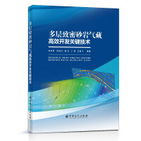 Image du vendeur pour Key technologies for efficient development of multi-layer tight sandstone gas reservoirs(Chinese Edition) mis en vente par liu xing