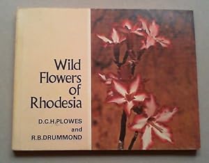 Bild des Verkufers fr Wild Flowers of Rhodesia. A Guide to some of the common wild flowers of Rhodesia. zum Verkauf von Antiquariat Sander