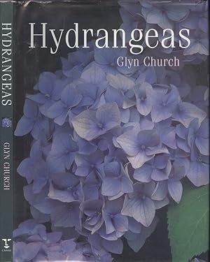 Hydrangeas