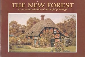 The New Forest a Souvenir Collection of Beautiful Paintings