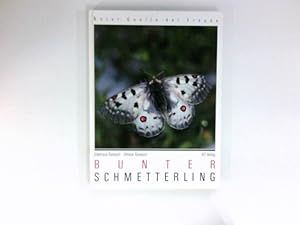 Bunter Schmetterling :
