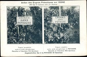 Ansichtskarte / Postkarte Action des Engrais Potassique sur Vigne, Weinanbau, Dünger, Reklame