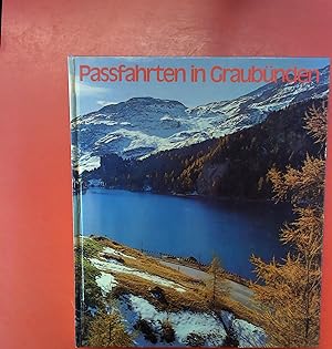 Bild des Verkufers fr Passfahrten in Graubnden zum Verkauf von biblion2