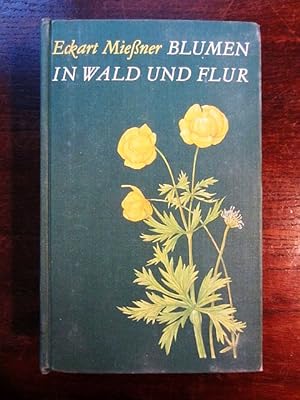Seller image for Blumen in Wald und Flur for sale by Rudi Euchler Buchhandlung & Antiquariat