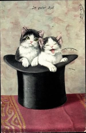 Ansichtskarte / Postkarte Zwei Hauskatzen in einem Zylinder sitzend, Katzenportrait, In guter Hut
