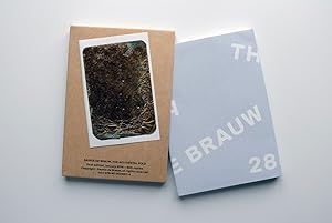 Saskia De Brauw, The Accidental Fold