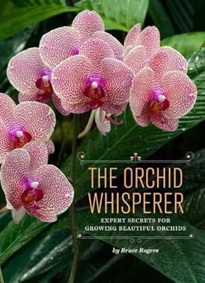Seller image for Orchid Whisperer : Expert Secrets for Growing Beautiful Orchids for sale by GreatBookPricesUK