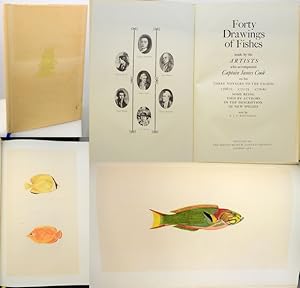 Seller image for FORTY DRAWINGS OF FISHES. Made by the Artists who accompanied Captain James Cook on his Three Voyages to the Pacific 1768-71 1772-75 1776-80 Some Being Used by Authors in the Description of New Species. for sale by Francis Edwards ABA ILAB