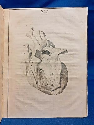 Saggio anatomico intorno alluso delle valvole delle arterie. Medicina 1803 Tav.