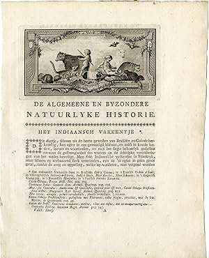 Bild des Verkufers fr Antique Print-TITLE VIGNETTE-BEAR-RACCOON-GUINEA PIG-BAT-Buffon-1776 zum Verkauf von Pictura Prints, Art & Books