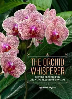 Bild des Verkufers fr Orchid Whisperer : Expert Secrets for Growing Beautiful Orchids zum Verkauf von GreatBookPrices