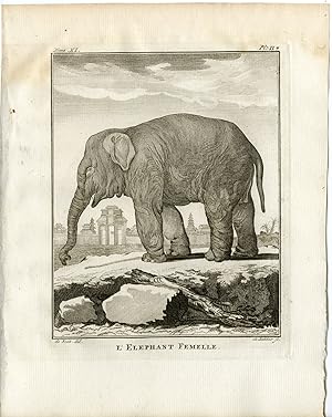 Bild des Verkufers fr 8 Antique Prints-ASIAN ELEPHANT-ELEPHAS MAXIMUS-P 1-6-Fritsch-Buffon-1779 zum Verkauf von Pictura Prints, Art & Books