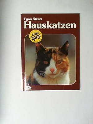 Seller image for Hauskatzen : Kauf, Haltung, Pflege. Deine Katze for sale by Buecherhof