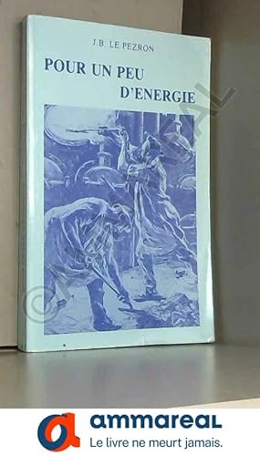 Image du vendeur pour Pour un peu d'nergie : Petites histoires du gaz de ville et de l'lectricit  Rennes de 1914  1939 mis en vente par Ammareal
