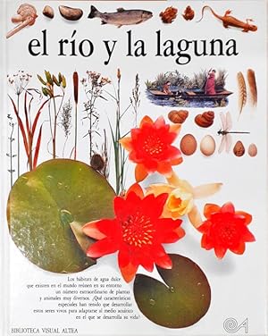 Seller image for El ro y la laguna for sale by Paraso Lector
