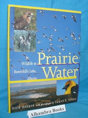 Imagen del vendedor de Prairie Water : Wildlife at Beaverhills Lake, Alberta a la venta por Alhambra Books