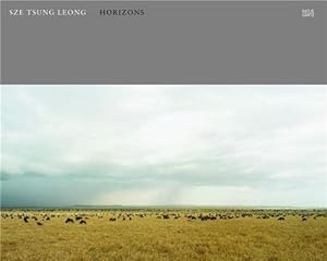 Immagine del venditore per Sze Tsung Leong: Horizons venduto da Pieuler Store