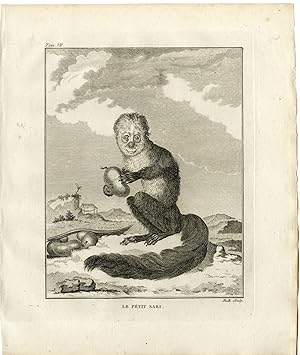 Antique Print-WHITE FACED SAKI-MONKEY-PITHECIA-Hulk-Buffon-1801