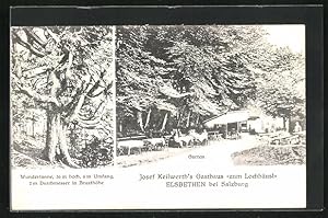 Ansichtskarte Salzburg-Elsbethen, Gasthaus zum Lochhäusl, Garten, Wundertanne