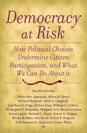 Seller image for Democracy At Risk : How Political Choices Undermine Citizen Participation, And What We Can Do About It for sale by GreatBookPricesUK