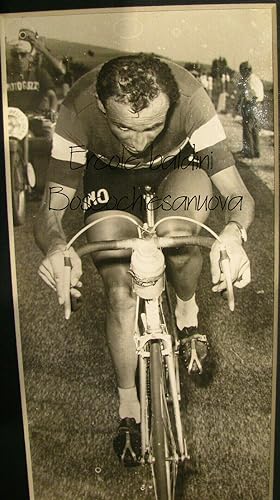 Foto originale, Ercole Baldini in salita a Bosco Chiesanuova, Giro d'Italia 1958