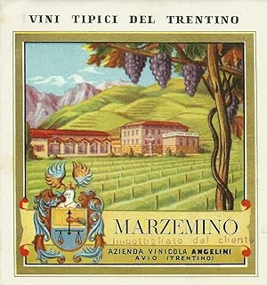Vecchia etichetta originale Vino Marzemino Angelini, Avio Trentino