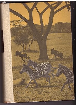 Bild des Verkufers fr Serengeti darf nicht sterben zum Verkauf von Bcherpanorama Zwickau- Planitz