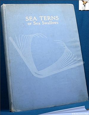 Sea Terns or Sea Swallows: Their Habits, Language, Arrival and Departure