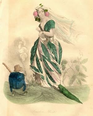BEETLE AND SLUG,1843 Victorian Hand Colored Steel Engraving Flower Theme