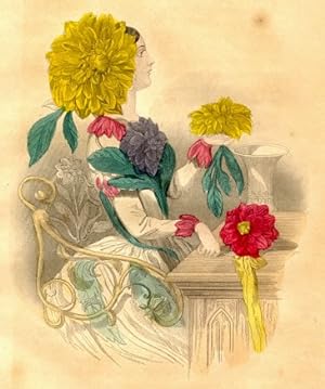 DAHLIA,1843 Victorian Hand Colored Steel Engraving Flower Theme