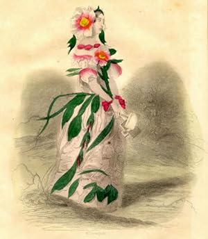 WILD ROSE,1843 Victorian Hand Colored Steel Engraving Flower Theme