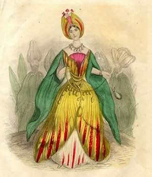 TULIP,1843 Victorian Hand Colored Steel Engraving Flower Theme