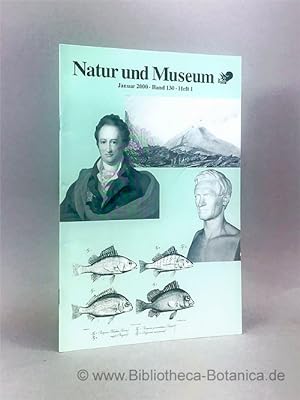 Imagen del vendedor de Natur und Museum. Bd. 130. H.1. Bericht der Senckenbergischen Naturforschenden Gesellschaft. a la venta por Bibliotheca Botanica