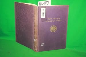 Seller image for West Virginia Geological Survey Volume VIII Salt Brines of West Virginia for sale by Princeton Antiques Bookshop