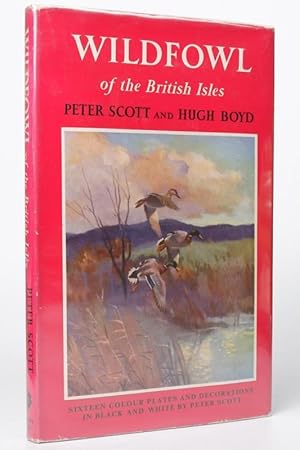 Wildfowl Of the British Isles