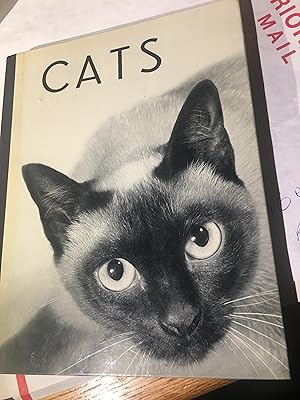 Seller image for Cats. for sale by Bristlecone Books  RMABA