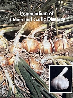 Imagen del vendedor de Compendium of Onion and Garlic Diseases a la venta por Calendula Horticultural Books