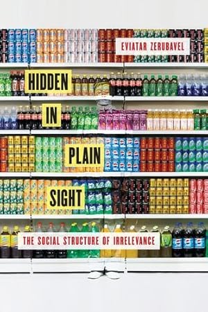 Bild des Verkufers fr Hidden in Plain Sight: The Social Structure of Irrelevance zum Verkauf von WeBuyBooks