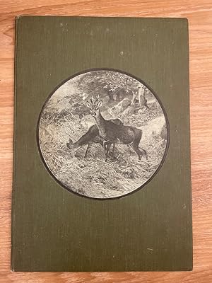 Sammlung von 47 Holzstichen zum Thema "Jagd" von 1893 "Aufforderung zum Kampf. Ansicht zweier Hir...