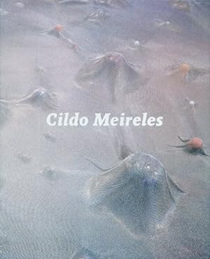 Imagen del vendedor de Cildo Meireles a la venta por WeBuyBooks
