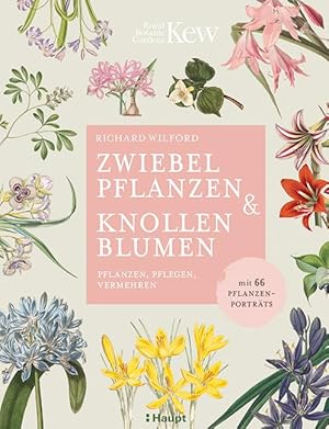 Imagen del vendedor de Zwiebelpflanzen & Knollenblumen a la venta por moluna