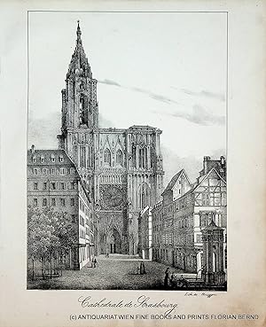 STRASBOURG, Straßburg, Cathédrale Notre-Dame de Strasbourg (Straßburger Münster), vue, Ansicht, v...