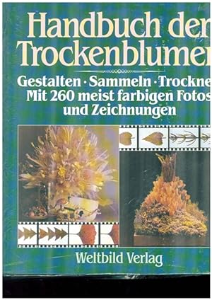 Handbuch der Trockenblumen. Gestalten, Sammeln, Trocknen.