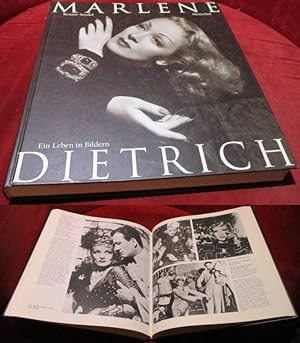 Bild des Verkufers fr Marlene Dietrich. Ein Leben in Bildern. zum Verkauf von Antiquariat Clement