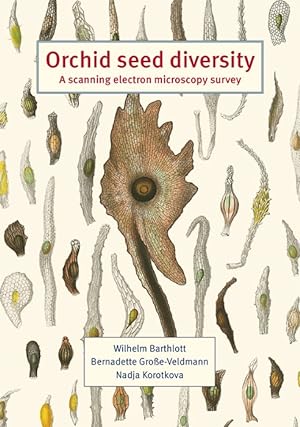 Orchid seed diversity: A scanning electron microscopy survey