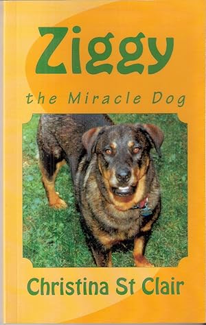 Ziggy The Miracle Dog