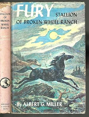Fury Stallion of Broken Wheel Ranch (Fury #1)