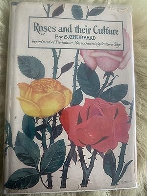 Roses And Their Culture: How To Propagate, Grow And Exhibit Outdoor Roses In America